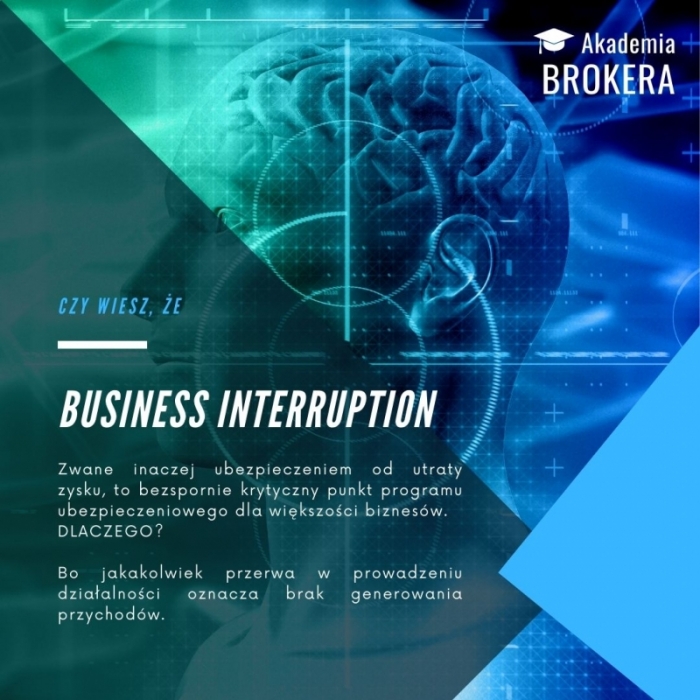 BI (Business Interruption)